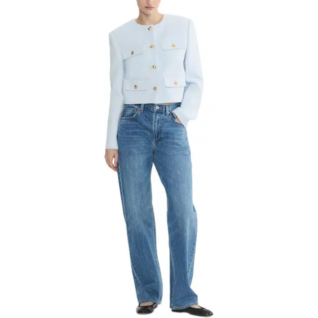 ARITZIA Babaton Anchor Jacket
