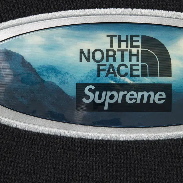 Supreme Week 9 x THE NORTH FACE FW21 TNF Lenticular Mountains Hooded Sweatshirt Logo