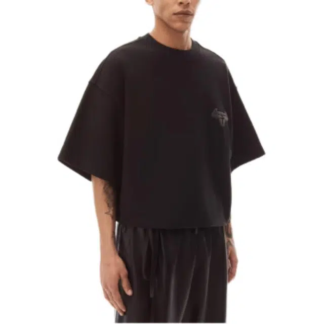 alexander wang T