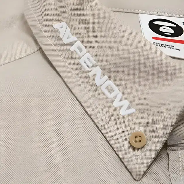 Aape FW24 logo
