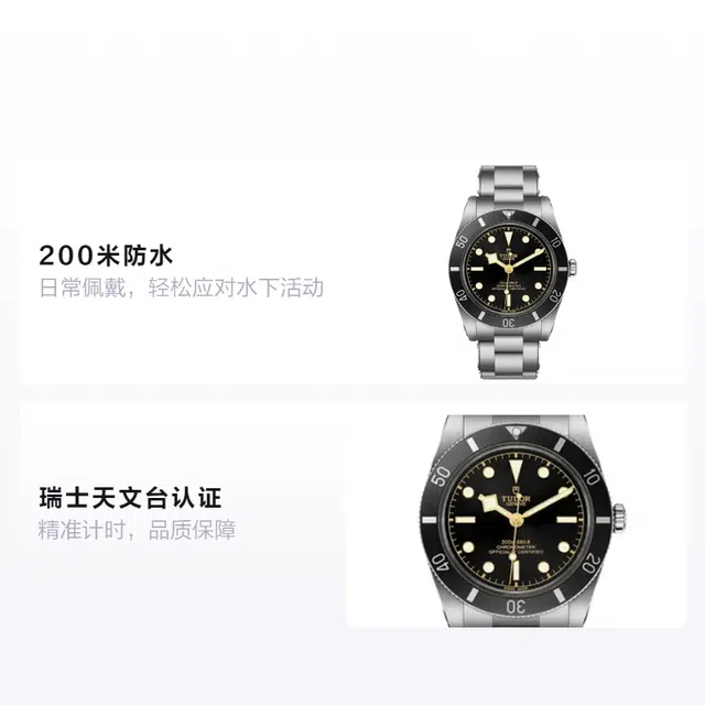 TUDOR 100 37mm M79000n-0001