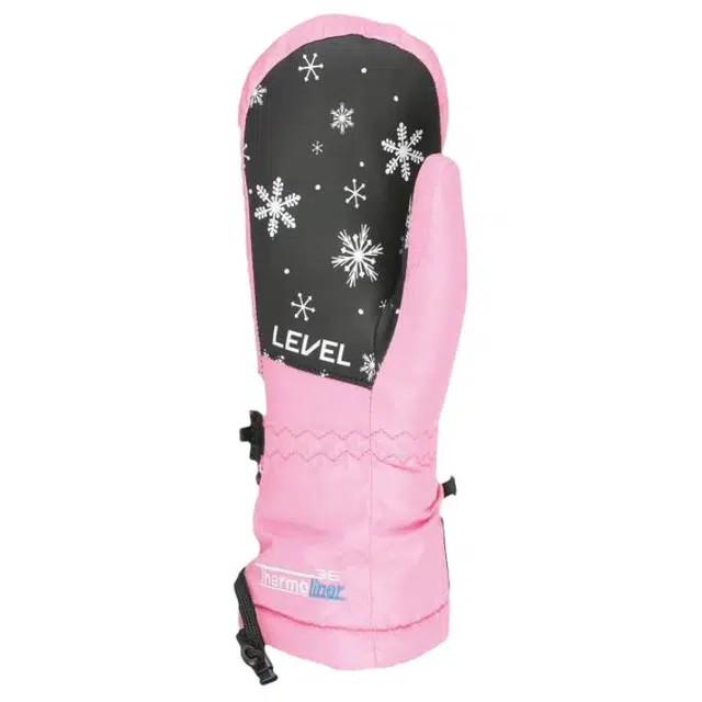 LEVEL