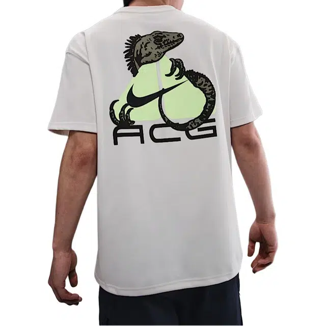 Nike Dri-Fit ACG T