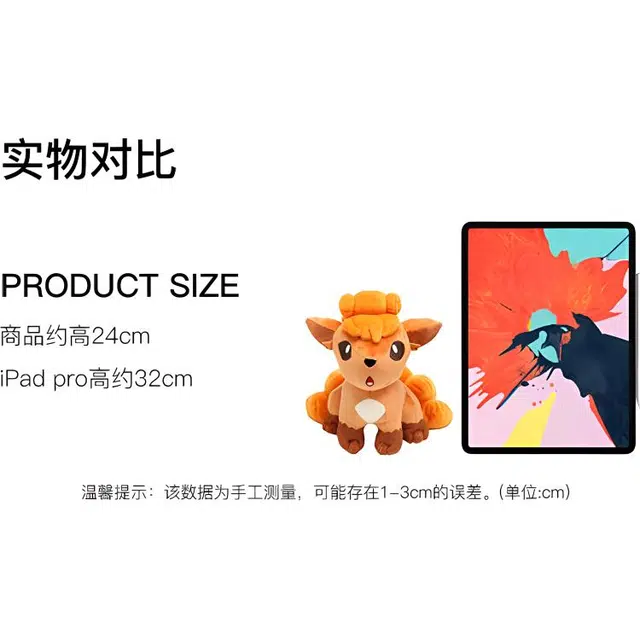 24cm