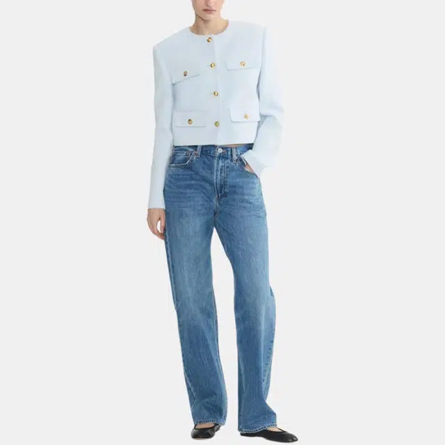 ARITZIA Babaton Anchor Jacket