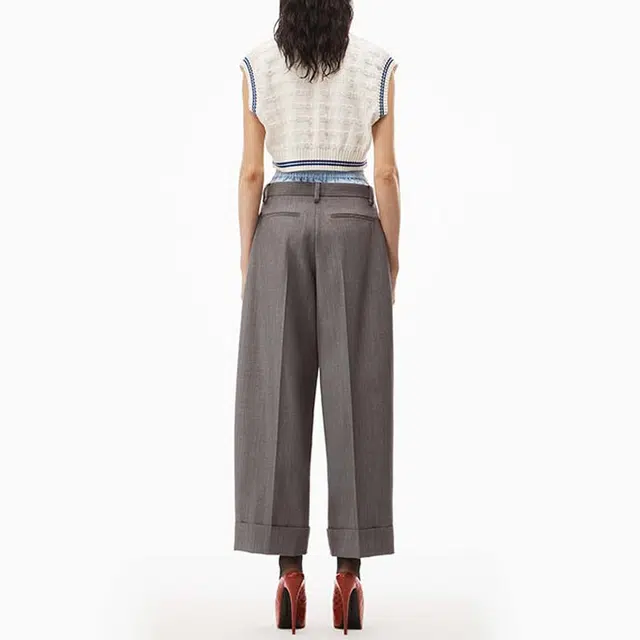 alexander wang V