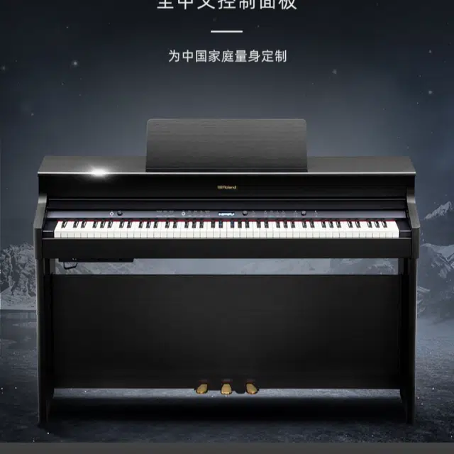 Roland () HP701