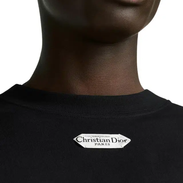 DIOR FW25 T