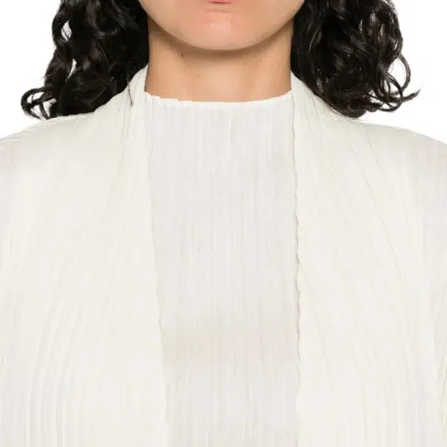 PLEATS PLEASE ISSEY MIYAKE SS25 V