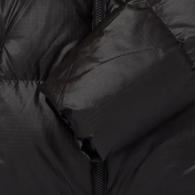 THE NORTH FACE W's Novelty Nuptse Down Jacket