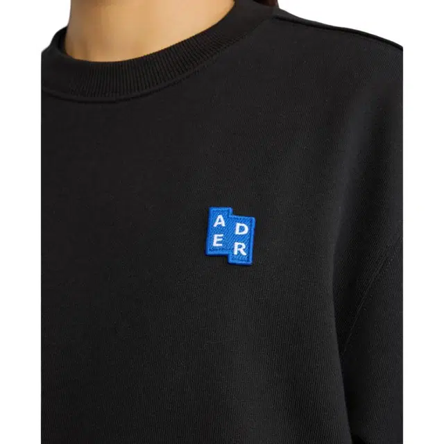 ADER ERROR Logo
