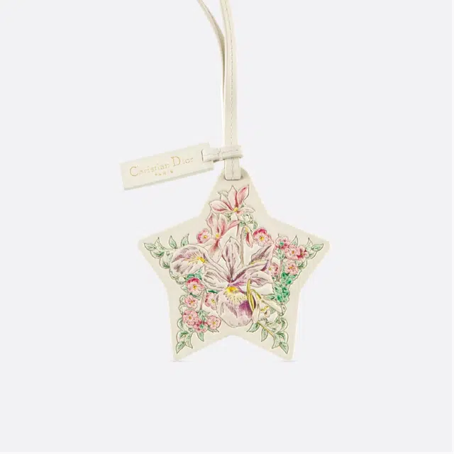 DIOR LuckyStar