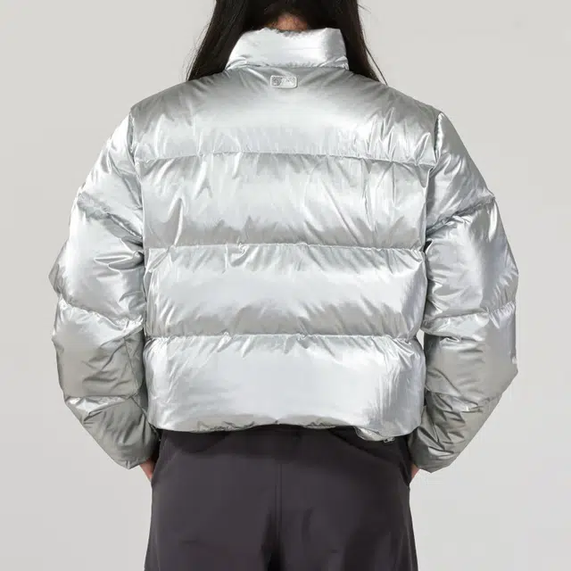 MLB New York Yankees Silver Jacket