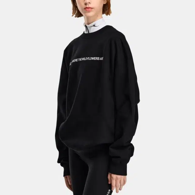 Canada Goose Snow Goose FW25