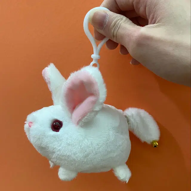 5cm