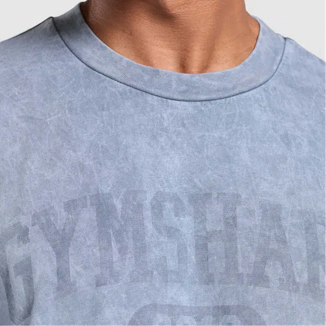 GYMSHARK Collegiate Shadow Washed logoT