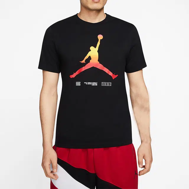 Jordan LEGACY AJ11 T