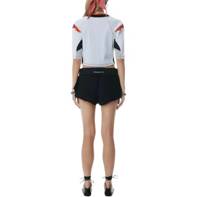 alexander wang Logo T