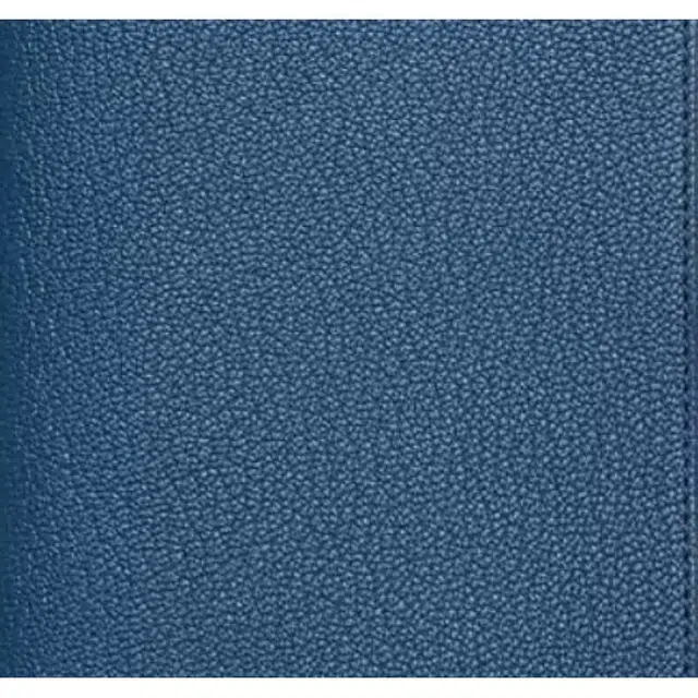 HERMES Vision II Simple Mysore