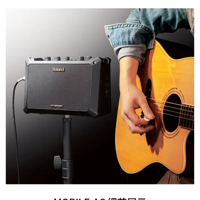 Roland MOBILE-AC AC