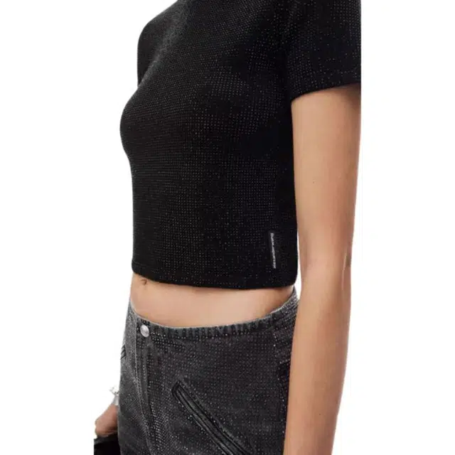 alexander wang FW24 T