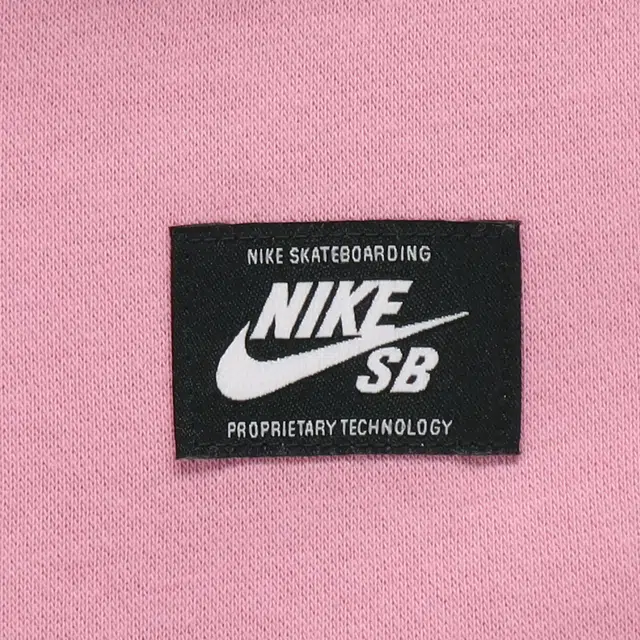 Nike SB Icon