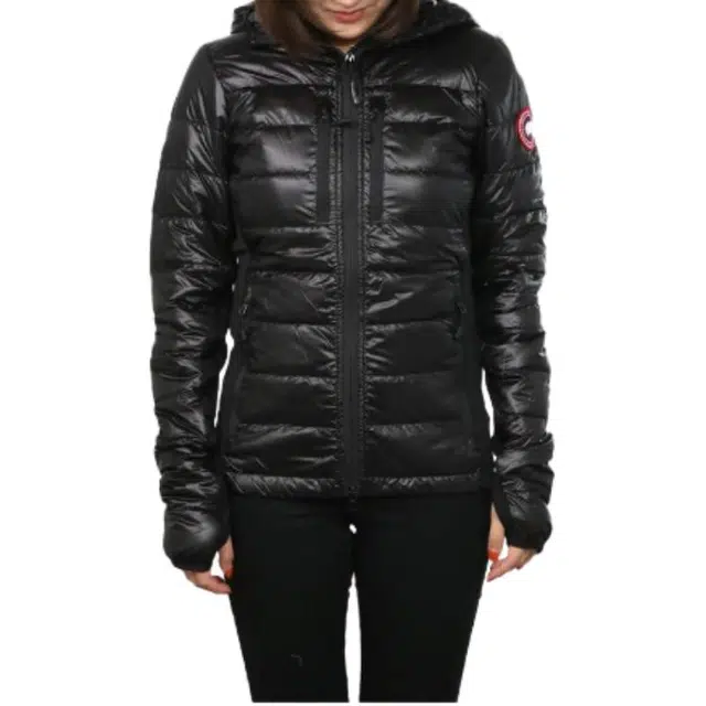 Canada Goose