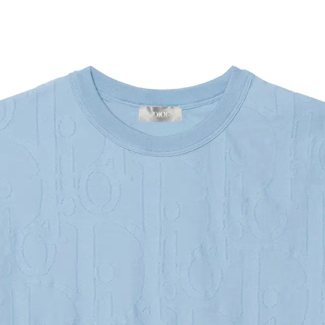 DIOR FW25 T
