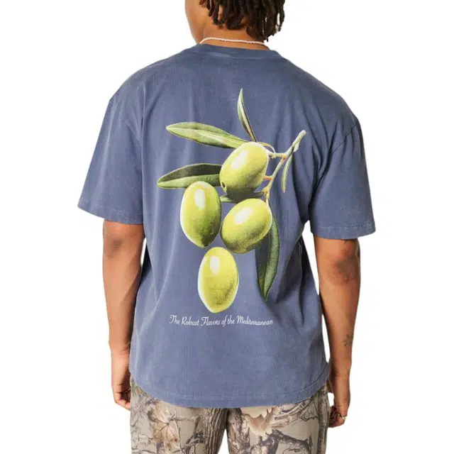 Hollister T
