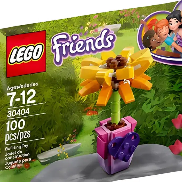 LEGO 30404
