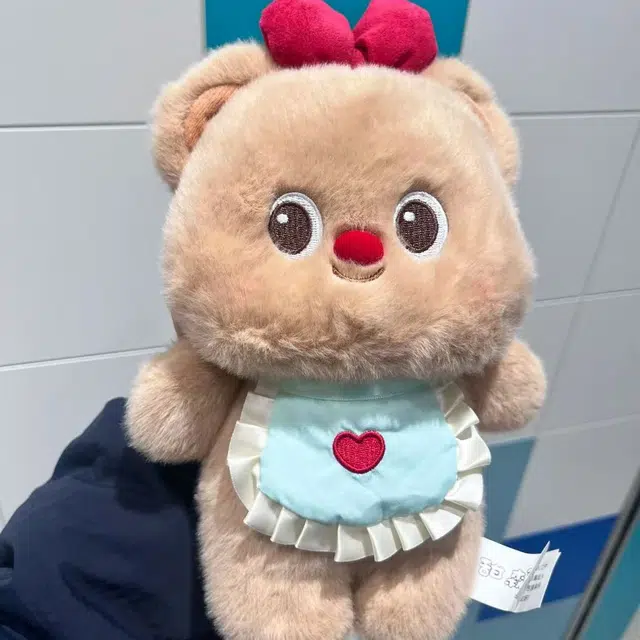 22cm