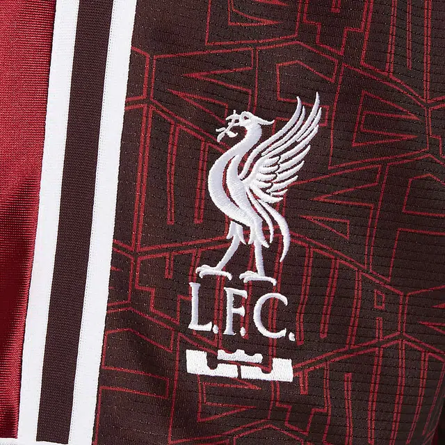 Nike x LeBron x Liverpool FC Burgundy Shorts
