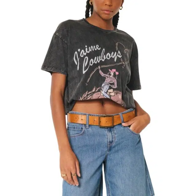 Hollister T