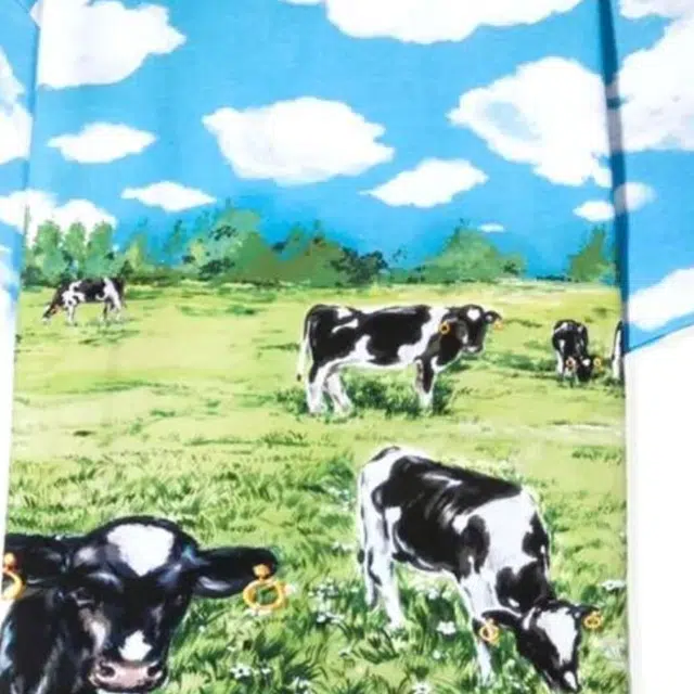 MOSCHINO T