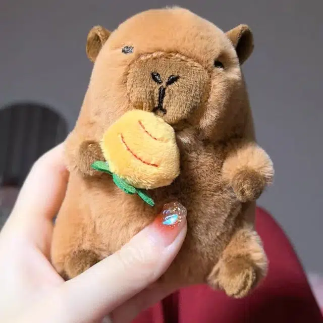 8cm