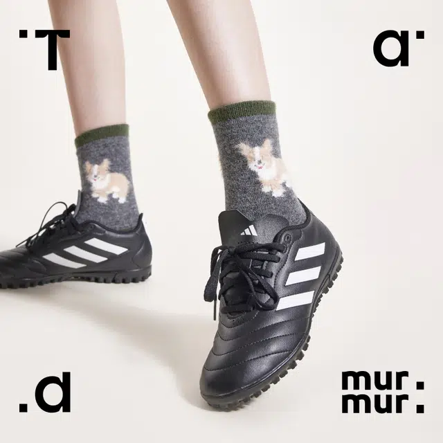 Tad murmur 3