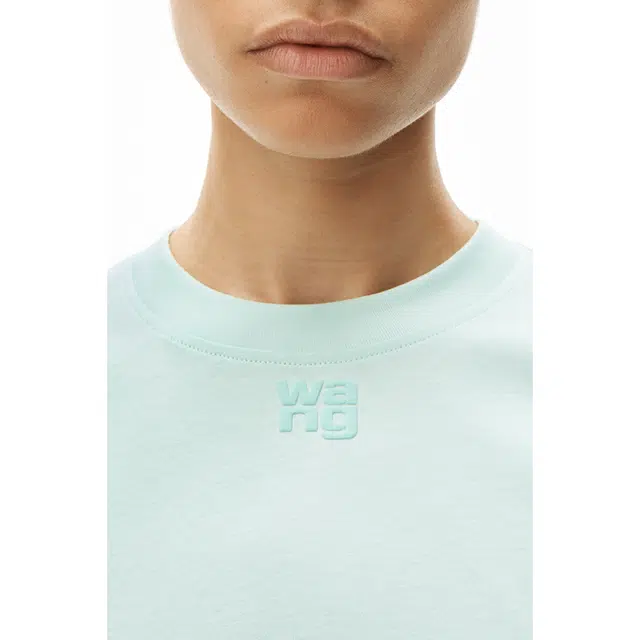 alexander wang FW24 T