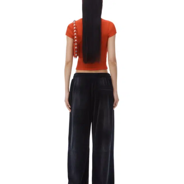 alexander wang FW24 T
