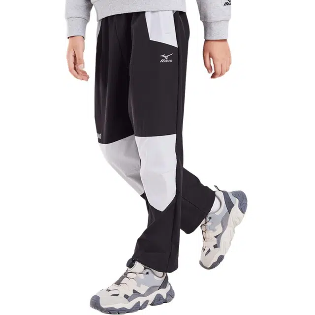 Mizuno logo