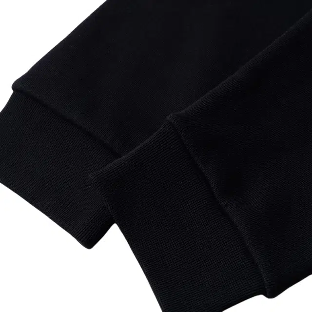 Gucci x The North Face FW21 Sweatshirt