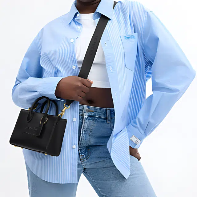 COACH Ace 17 Tote