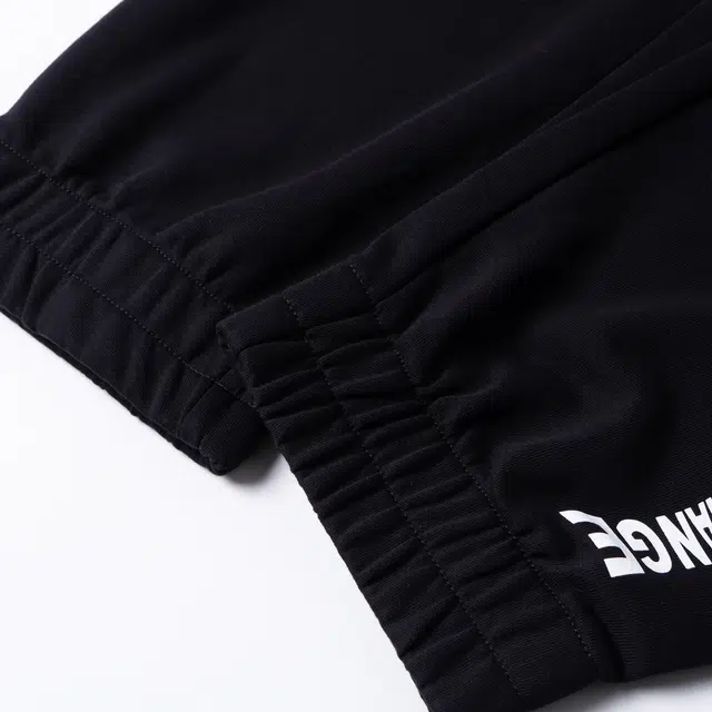 ARMANI EXCHANGE SS23 Logo