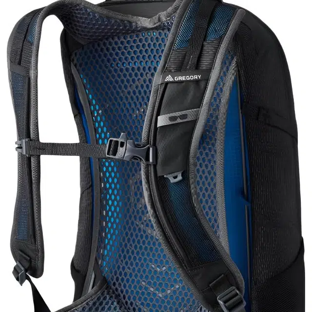 GREGORY 24L