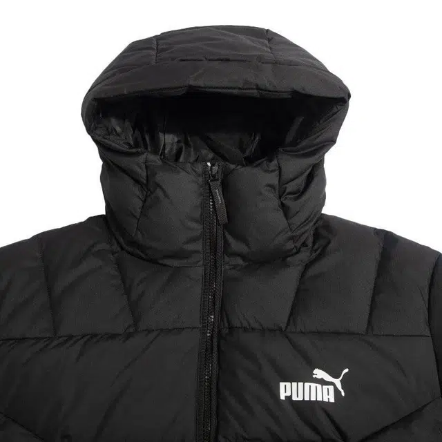 PUMA WINTERIZED Logo