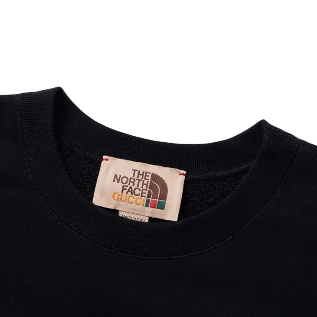 Gucci x The North Face FW21 Sweatshirt