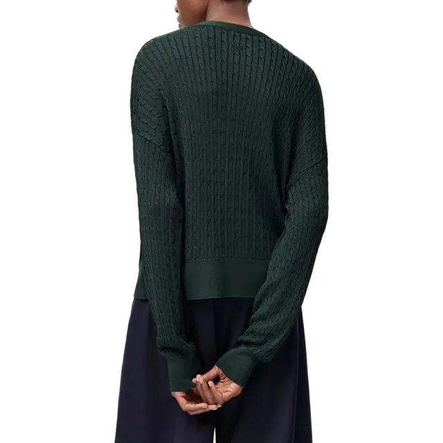 LOEWE FW25 V