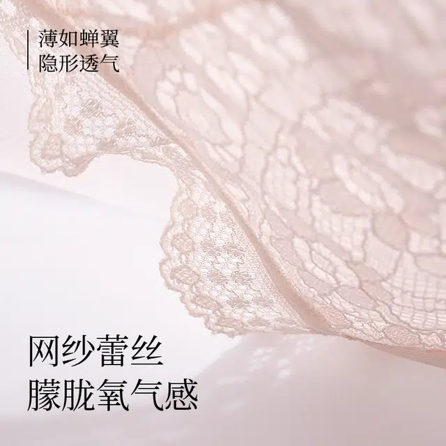 Rich Dragon 1
