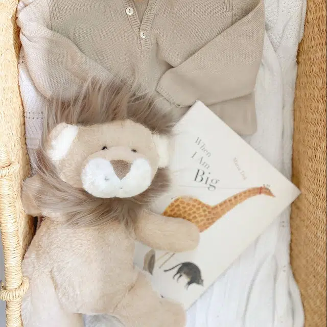 MONAMI 25cm