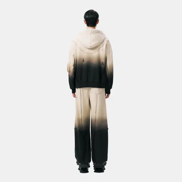 Feng Chen Wang