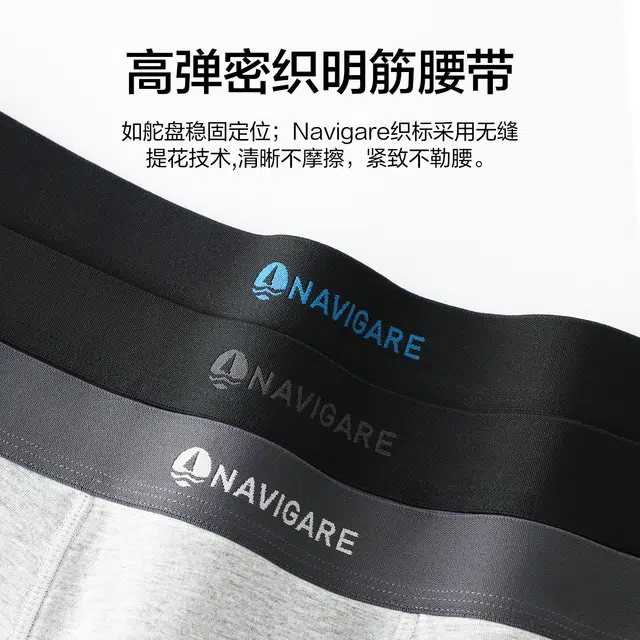 NAVIGARE Logo